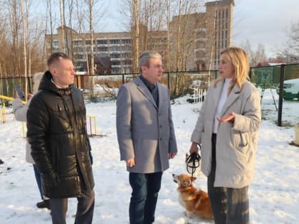 Создание площадки для аджилити в Архангельске