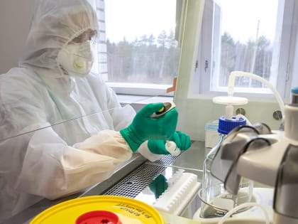В Архангельской области зарегистрирован случай кори