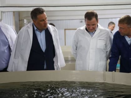 Губернатор Цыбульский поручил рассмотреть дополнительные варианты поддержки развития аквакультуры в Архангельской области