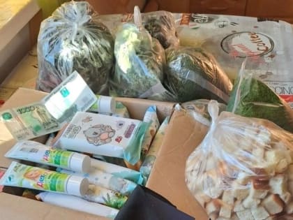 Неравнодушные люди Поморья продолжают поддерживать участников СВО, среди них - жители Котласского района.