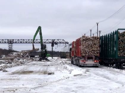 Архангельская область примет участие в пилотном проекте Рослесхоза по контролю лесоперевозок