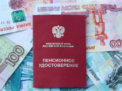 В 2023 году в Архангельской области и НАО досрочно на пенсию вышли 2920 мам с двумя детьми