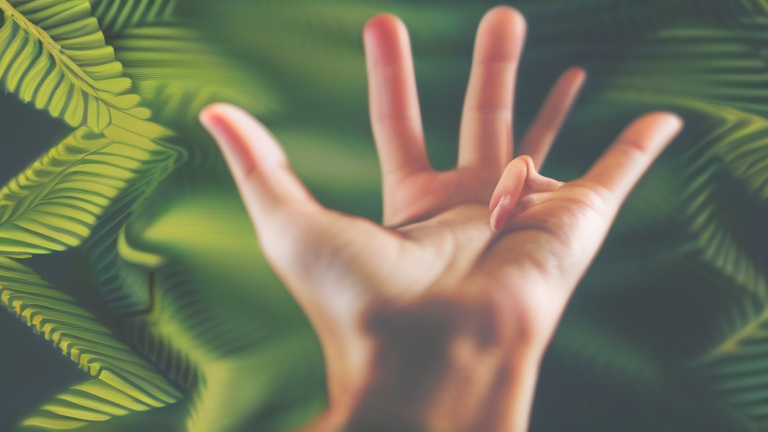 How to Improve Your Polyvagal Somatic Relational Integrative Mediation Skills