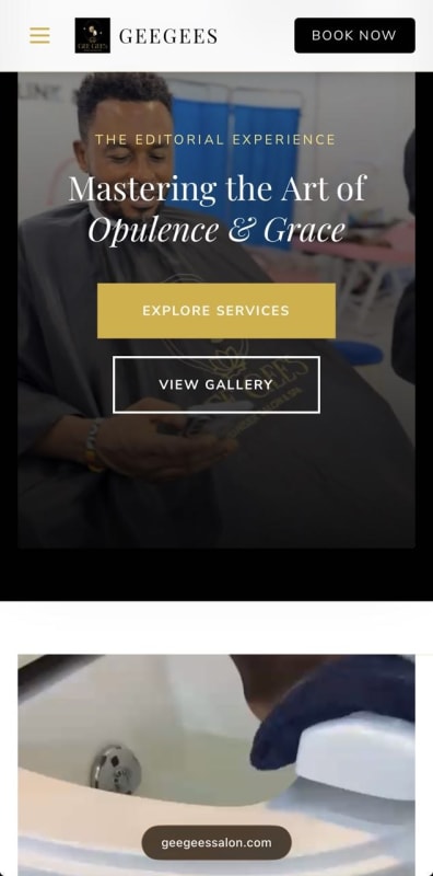 Salon website