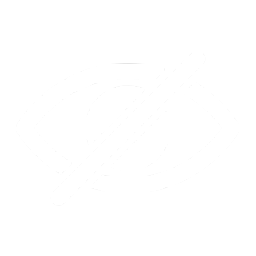 Counter Surveillance