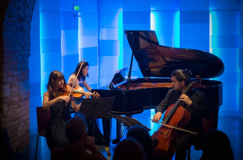 Wiener Ensemble Concert 6