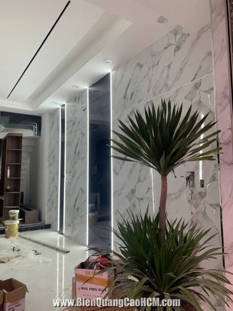 tranh 3d óp tường sang trọng tại HCM