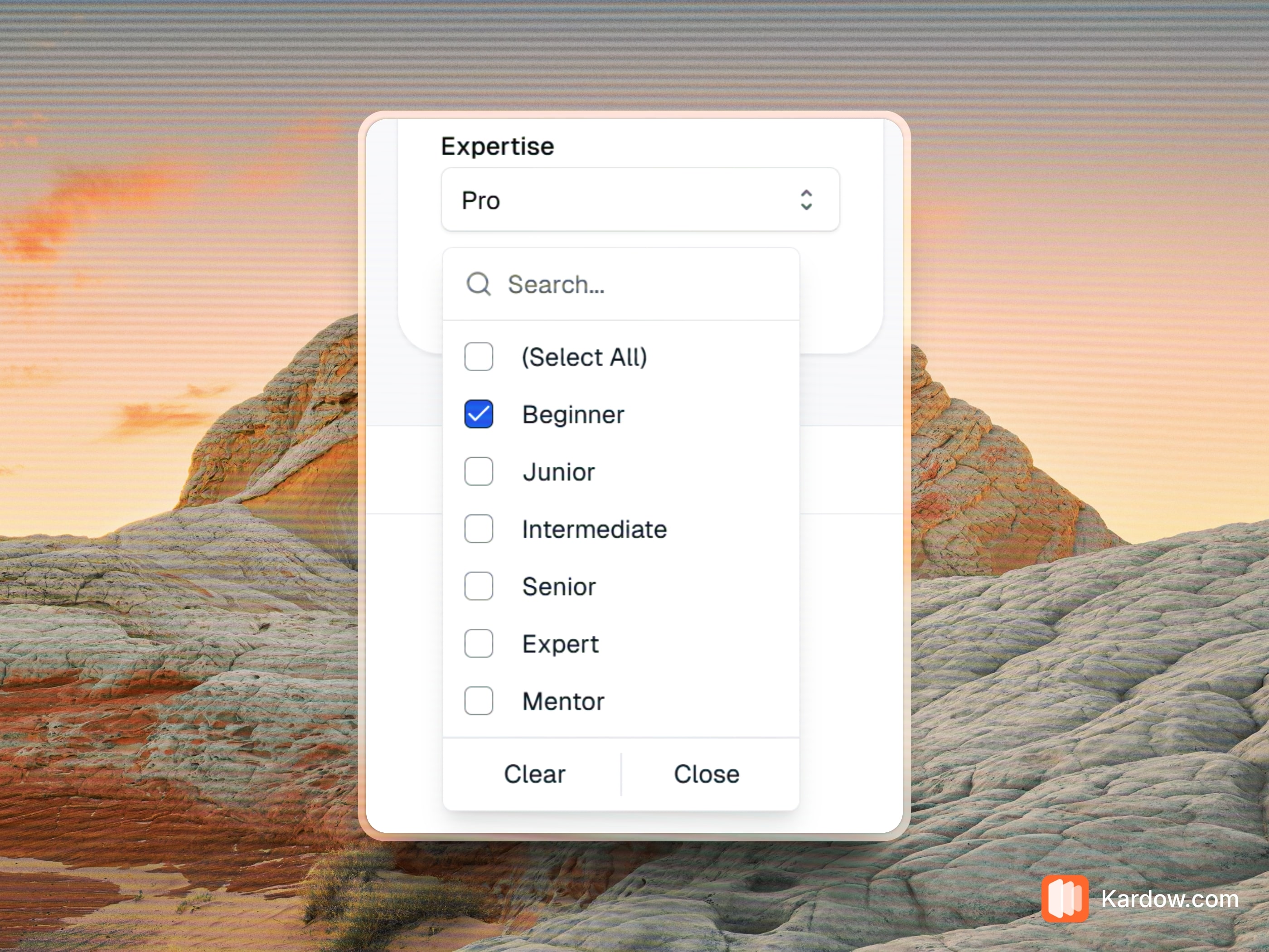 Multi-select fields