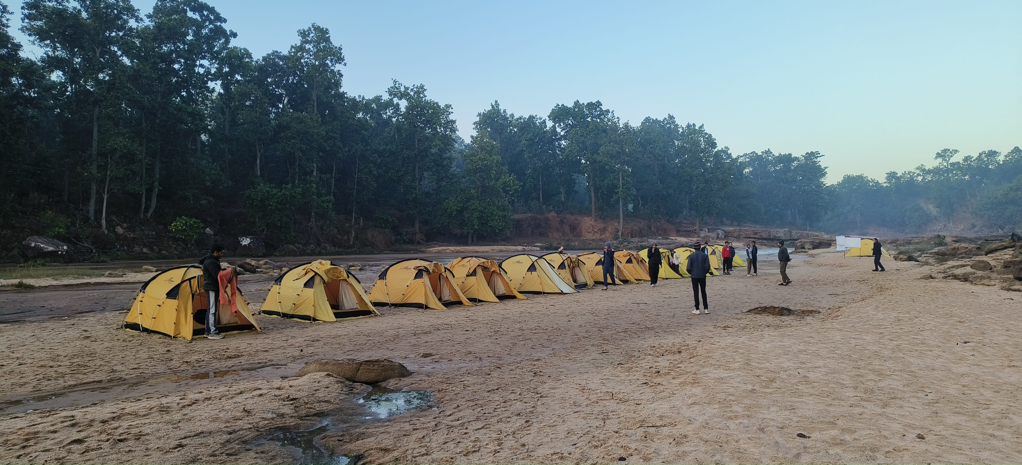 Jungle Trek Exploration Activity