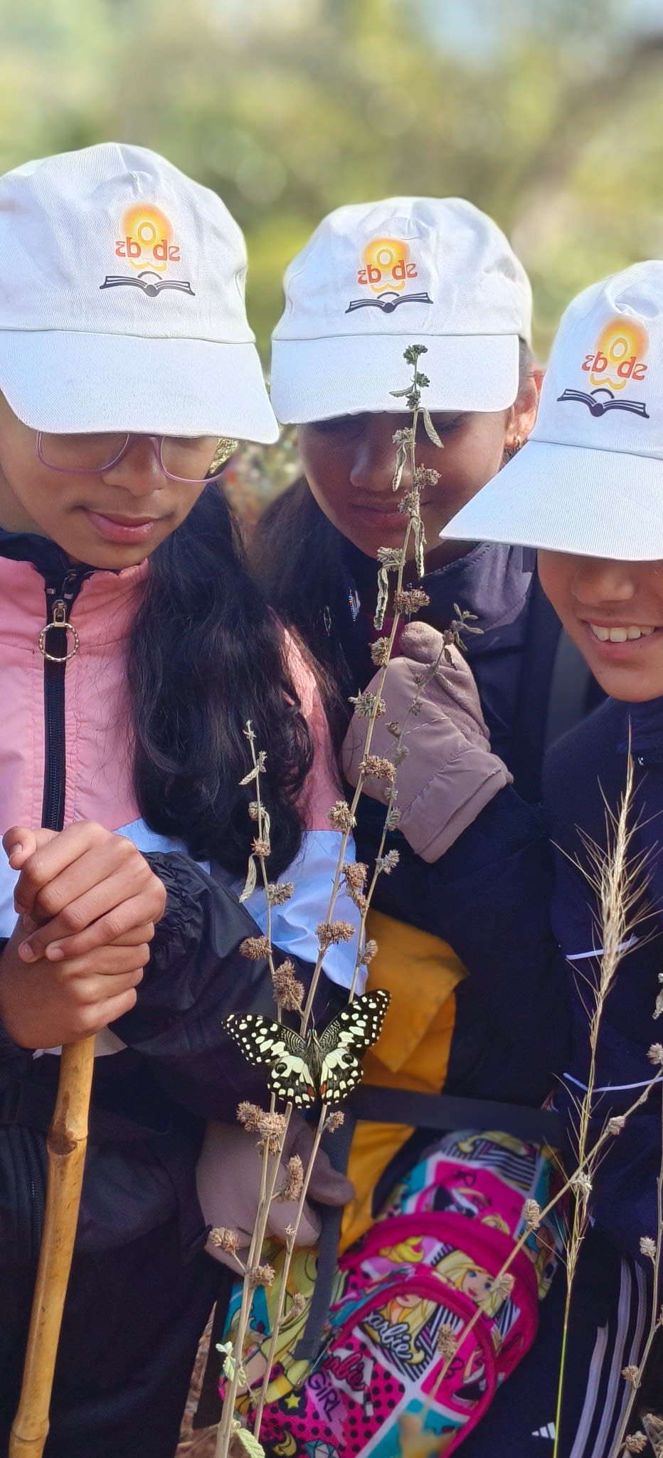 Jungle Trek Exploration Activity