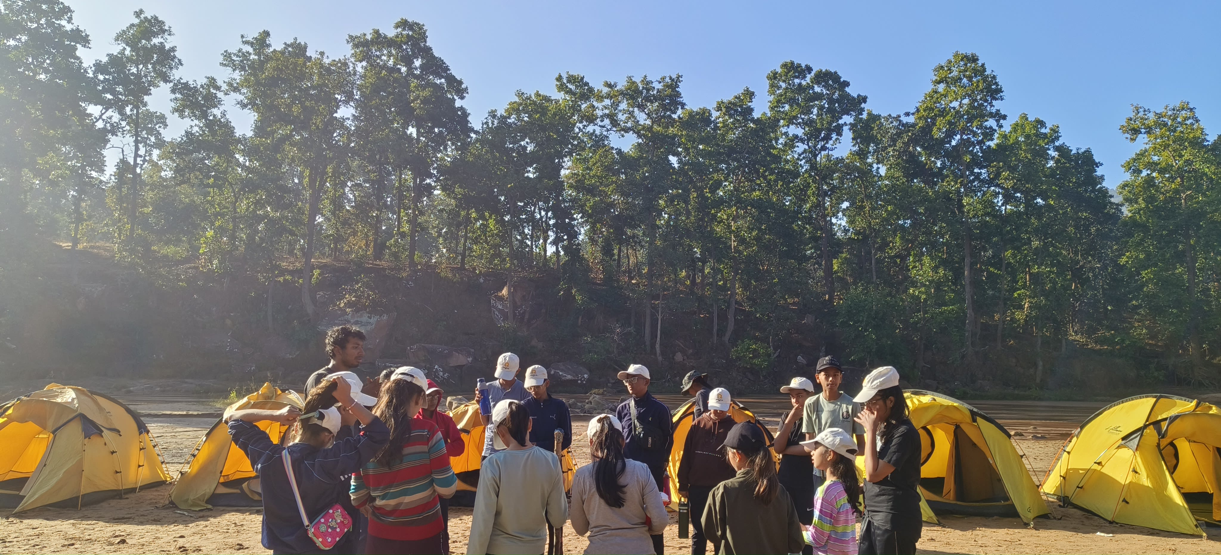 Jungle Trek Exploration Activity