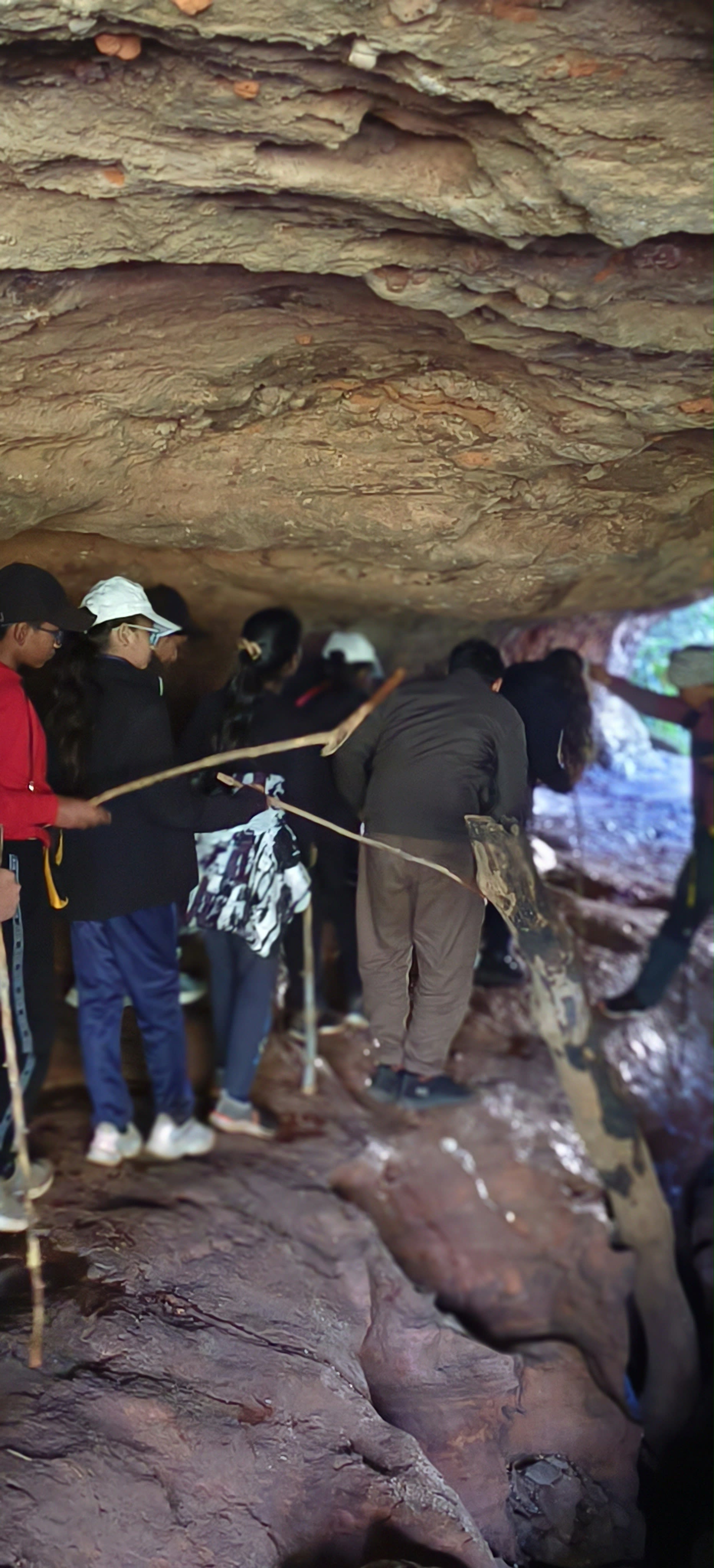 Jungle Trek Exploration Activity