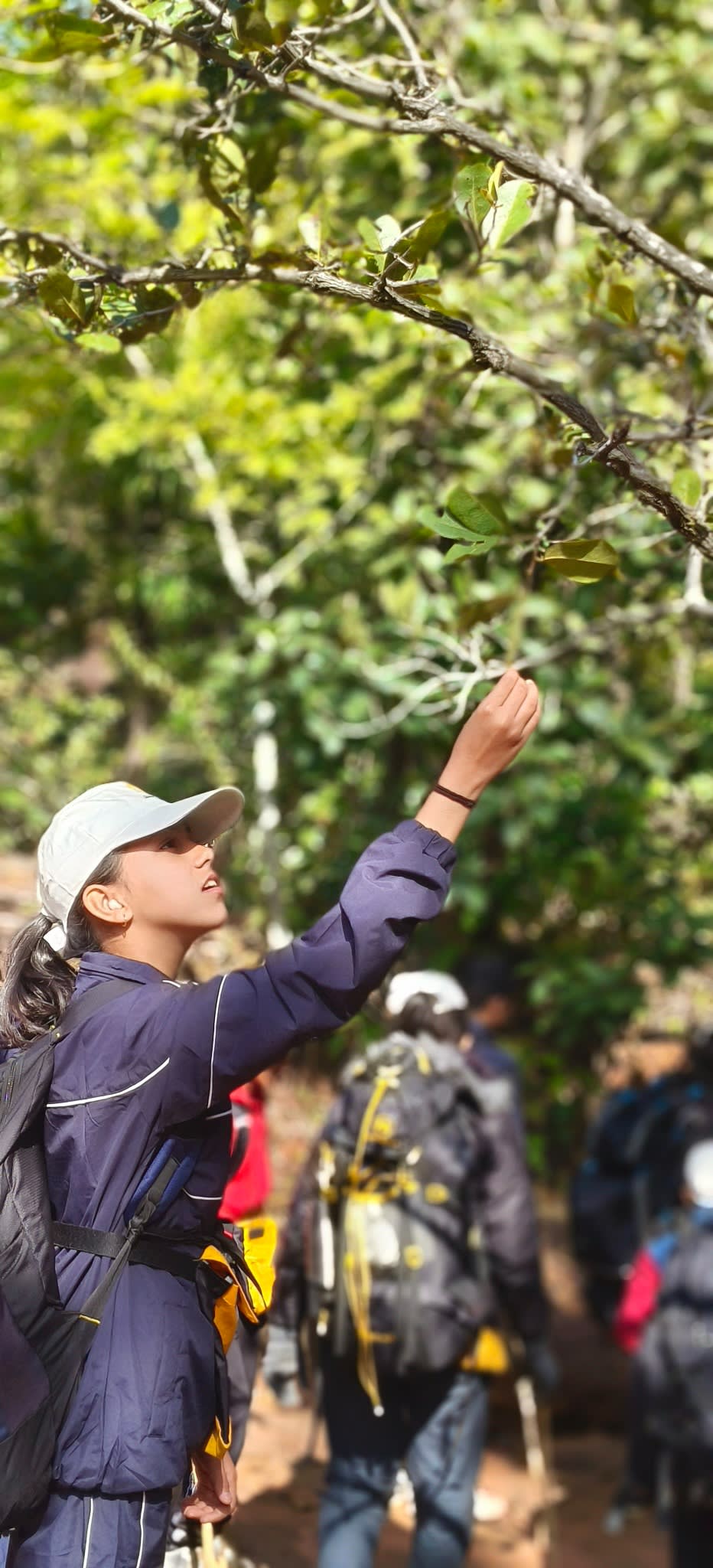 Jungle Trek Exploration Activity