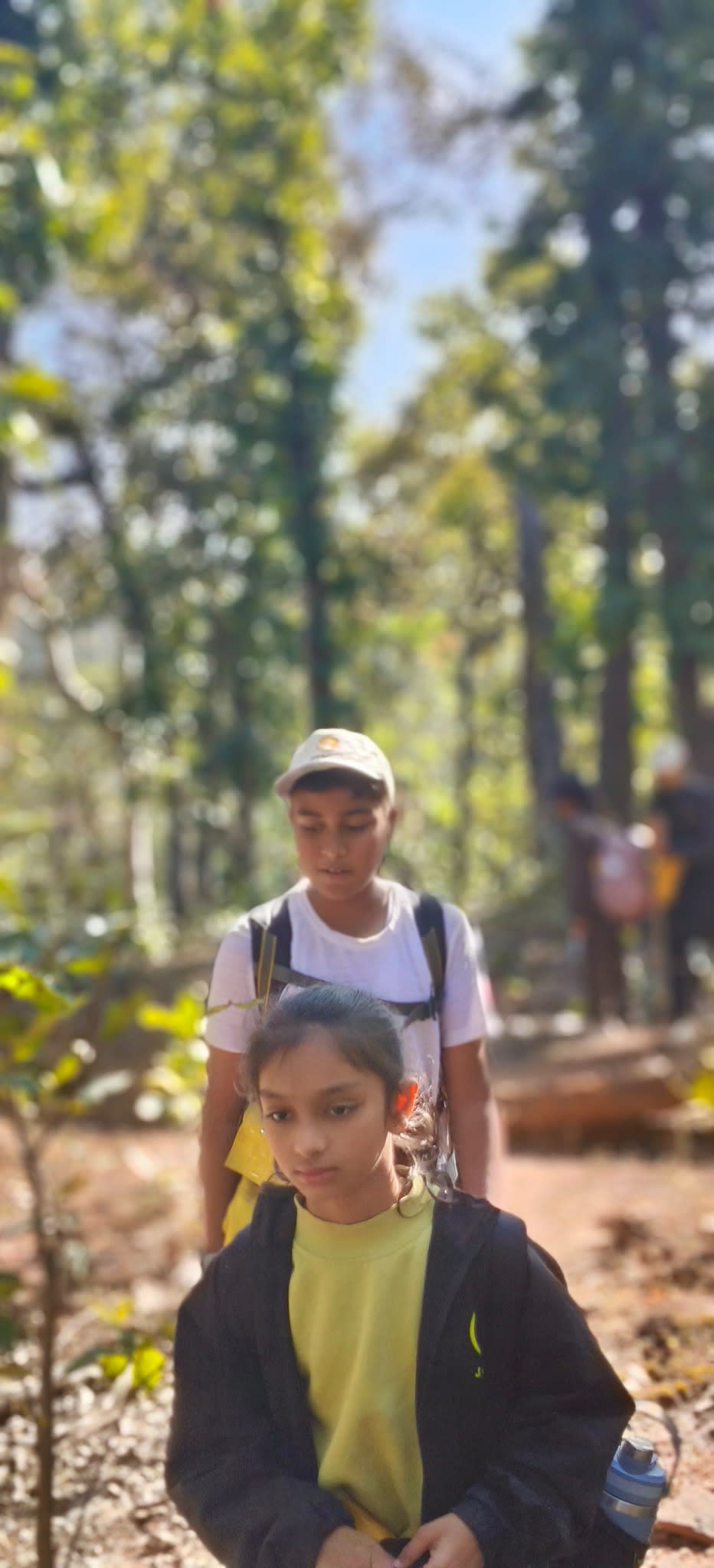 Jungle Trek Exploration Activity