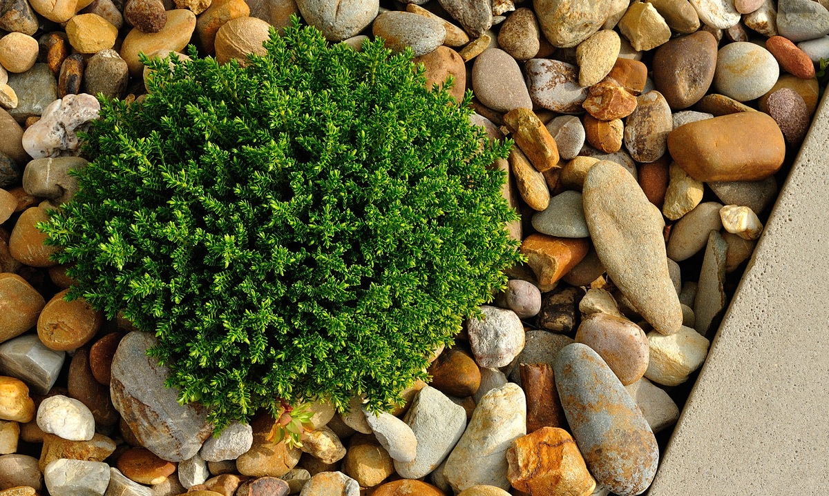 Expert Landscaping
