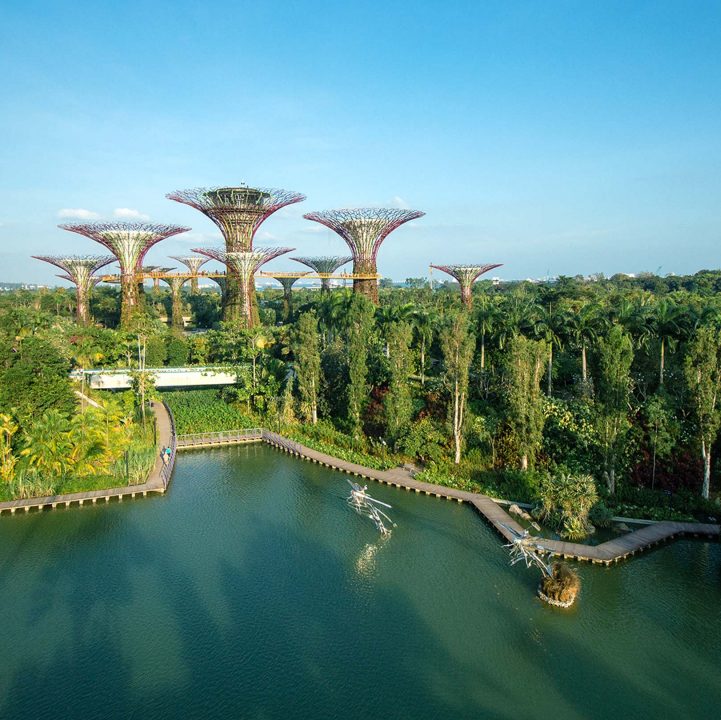 Gardens by the Bay