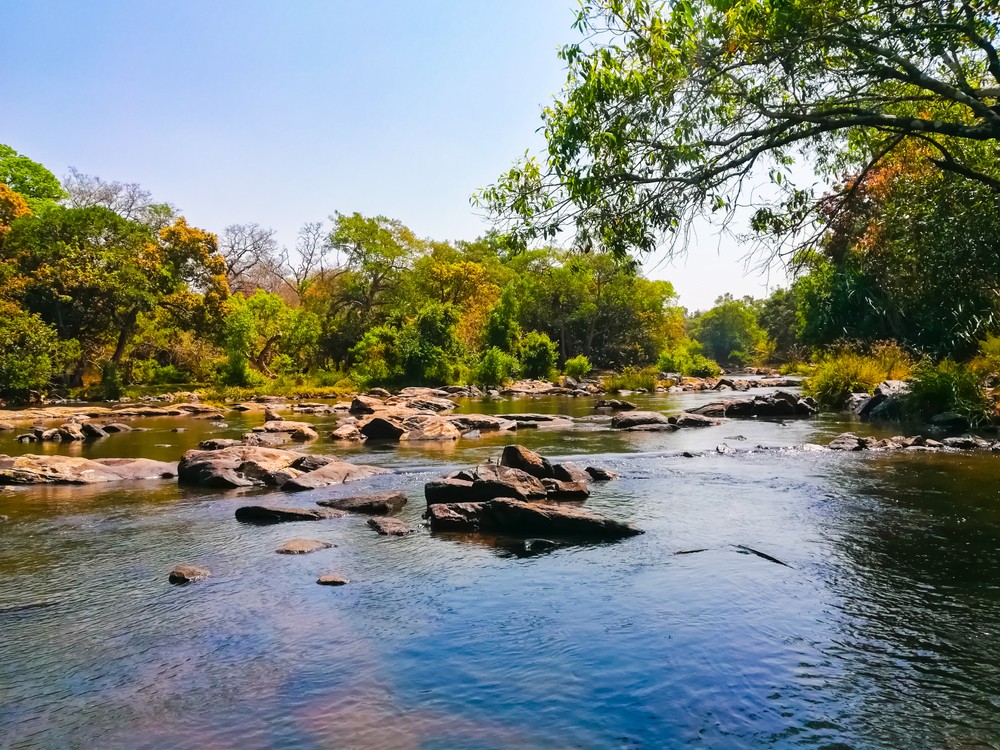 WAYANAD SIGHTSEEING AND DEPARTURE