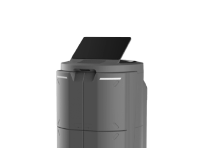 Temi Go Pro
