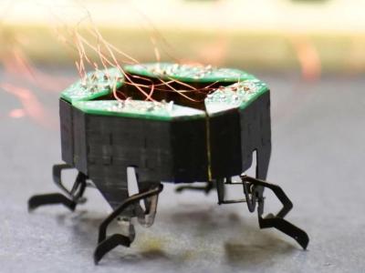 CLARI (Compliant Legged Articulated Robotic Insect)