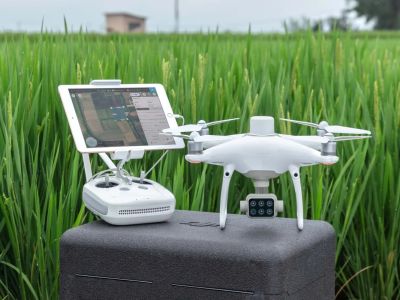 DJI P4 Multispectral 1