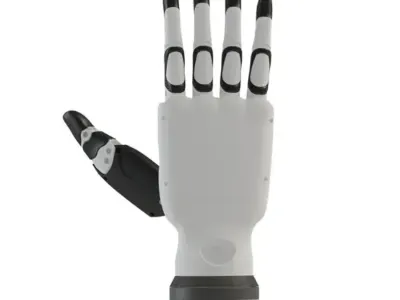 The Pianists (RH56BFX)