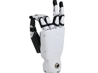 The Pianists (RH56BFX) 5