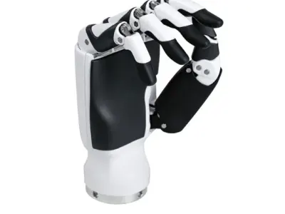 The Pianists (RH56BFX) 6