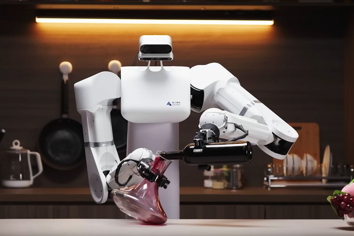 Humanoid Robots