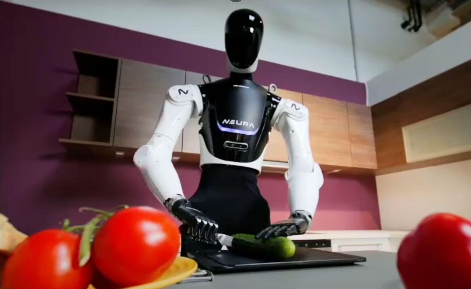 Neura Robotics GmbH (Germany) - Humanoid Robotics manufacturer logo