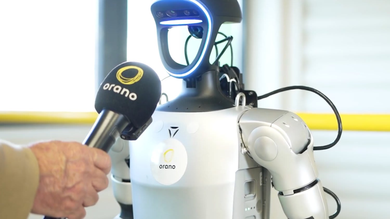 Hoxo Robot 3