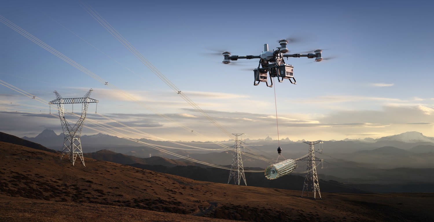 DJI FlyCart 100 - Image 2