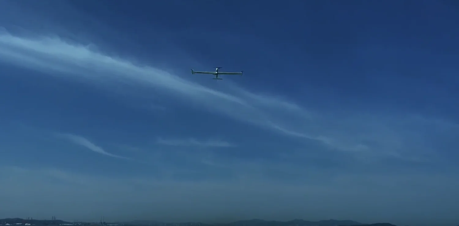 Dragonfish Standard - Image 2