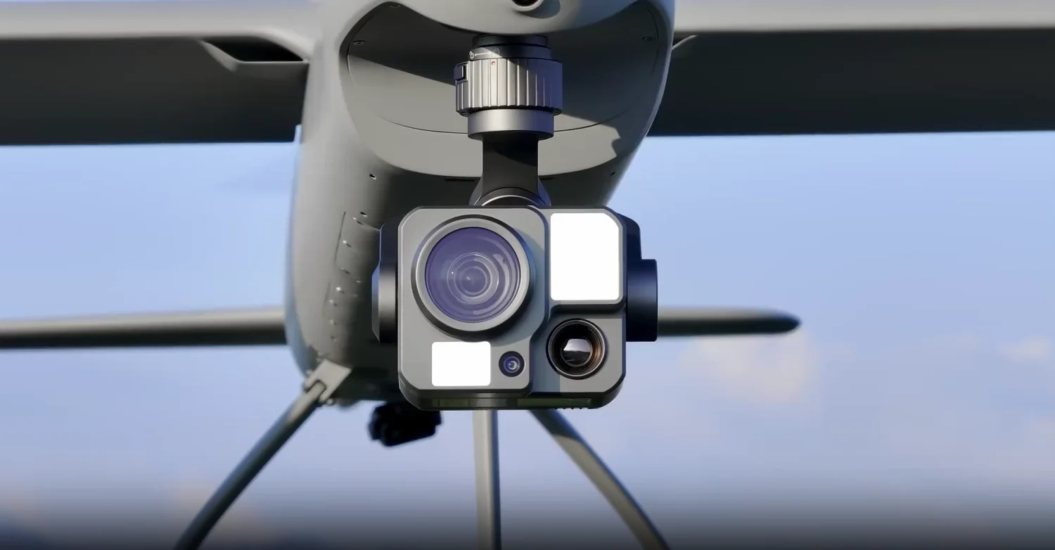 Dragonfish-25 - Image 2