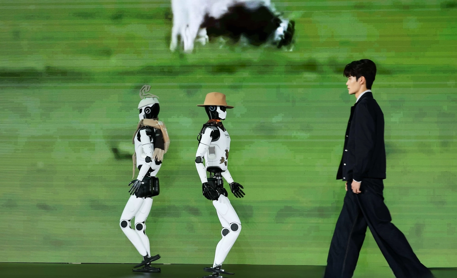 Walker II (02) - Image 2