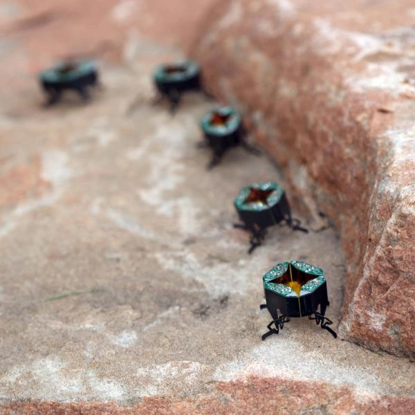 CLARI (Compliant Legged Articulated Robotic Insect)