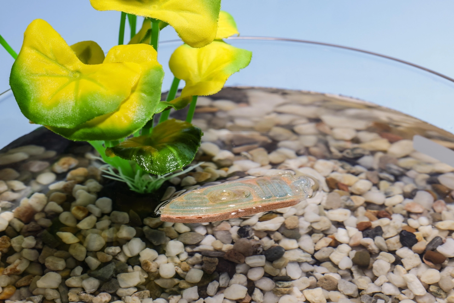 Cuddle‑Fish Robot - Image 1