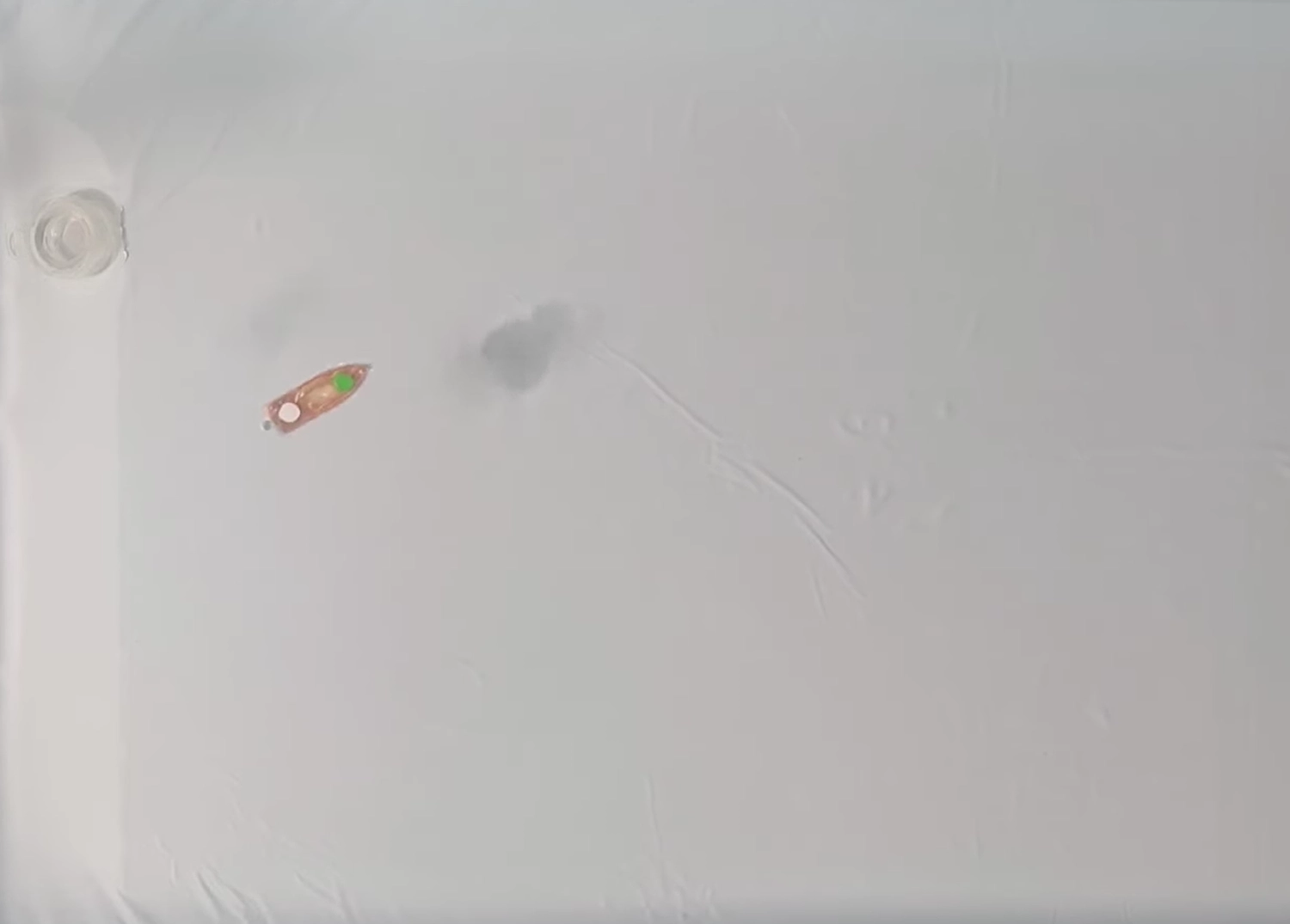 Cuddle‑Fish Robot - Image 2