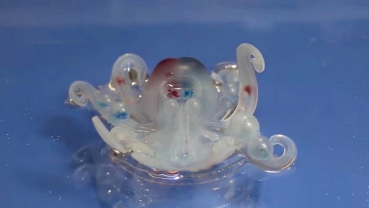 Octobot - Image 2