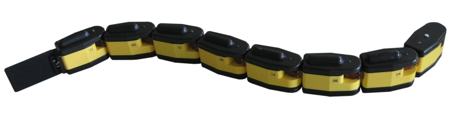 AmphiBot (Robot Snake)