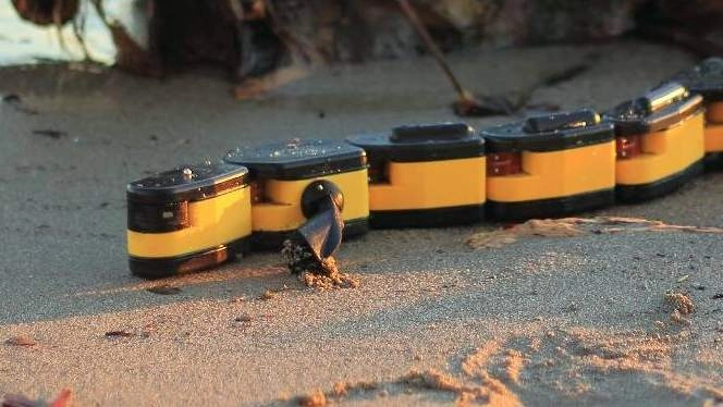 AmphiBot (Robot Snake) - Image 1