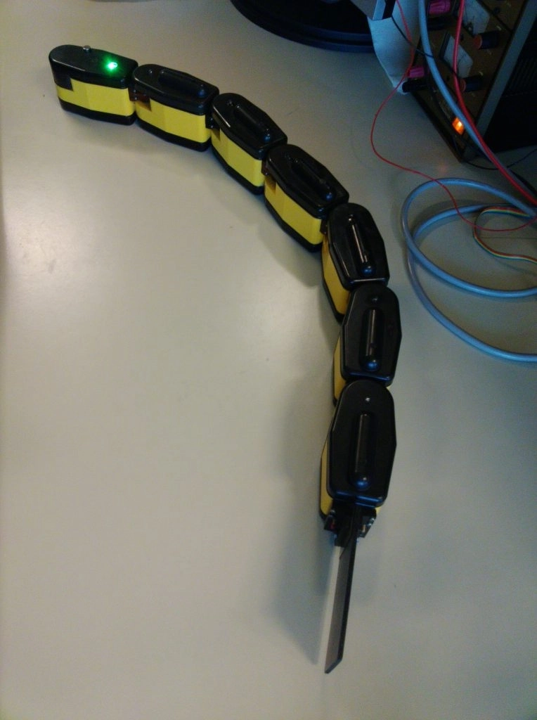 AmphiBot (Robot Snake) - Image 2