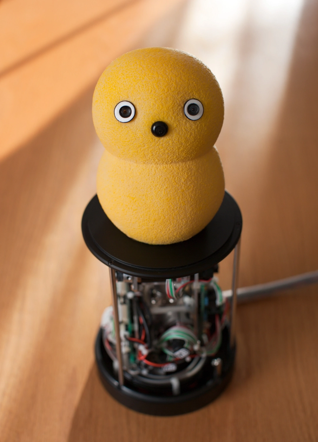 Keepon - Image 2