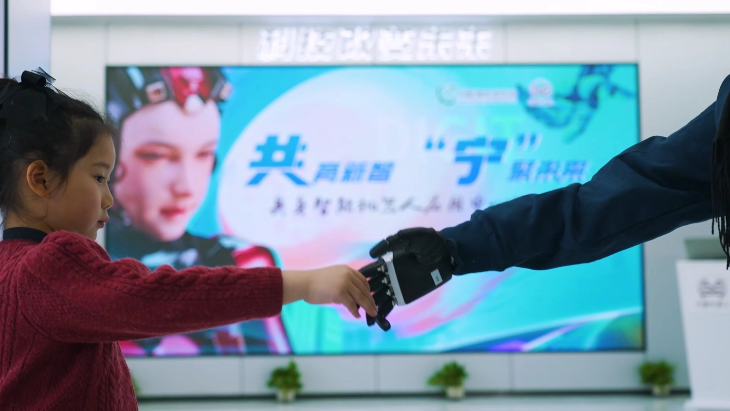 Xia Lan S02 - Image 2