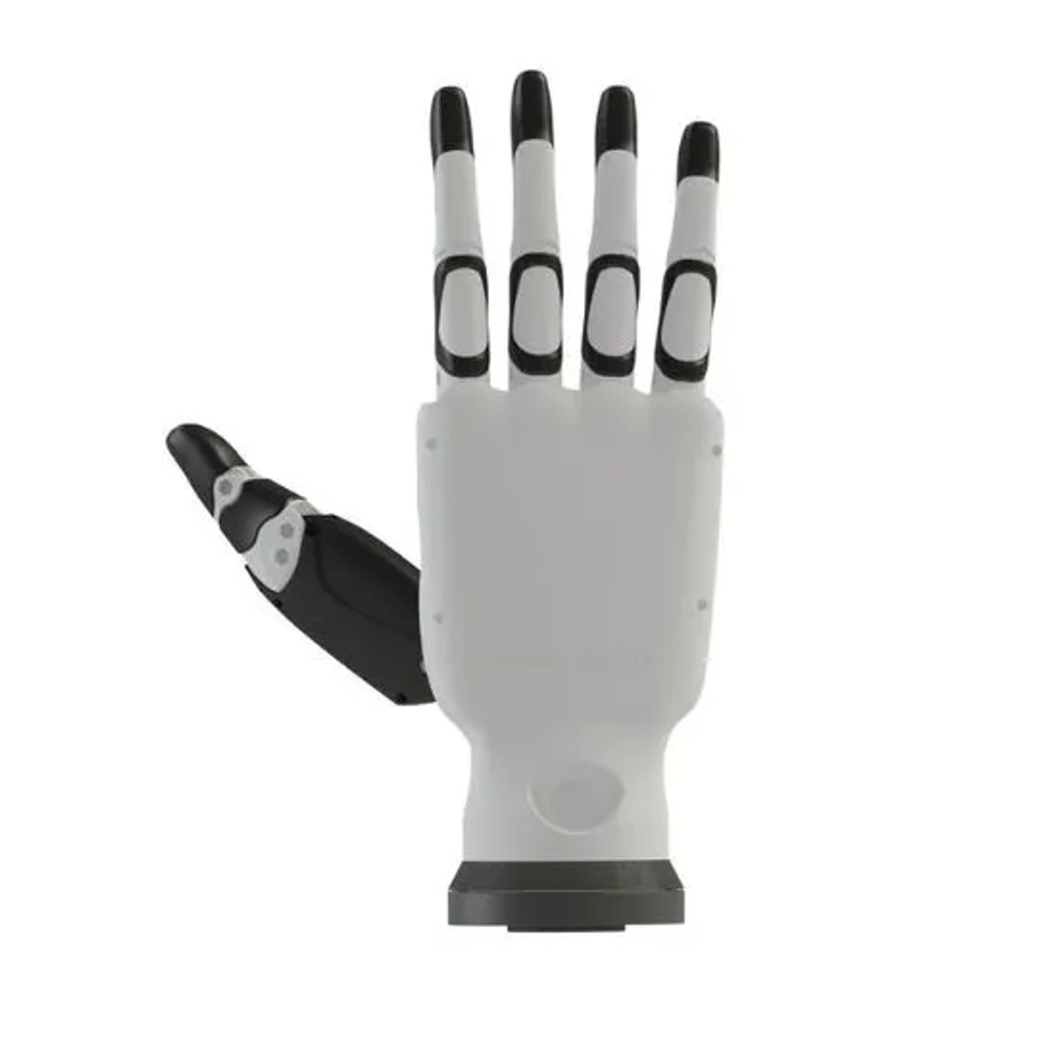 The Pianists (RH56BFX)