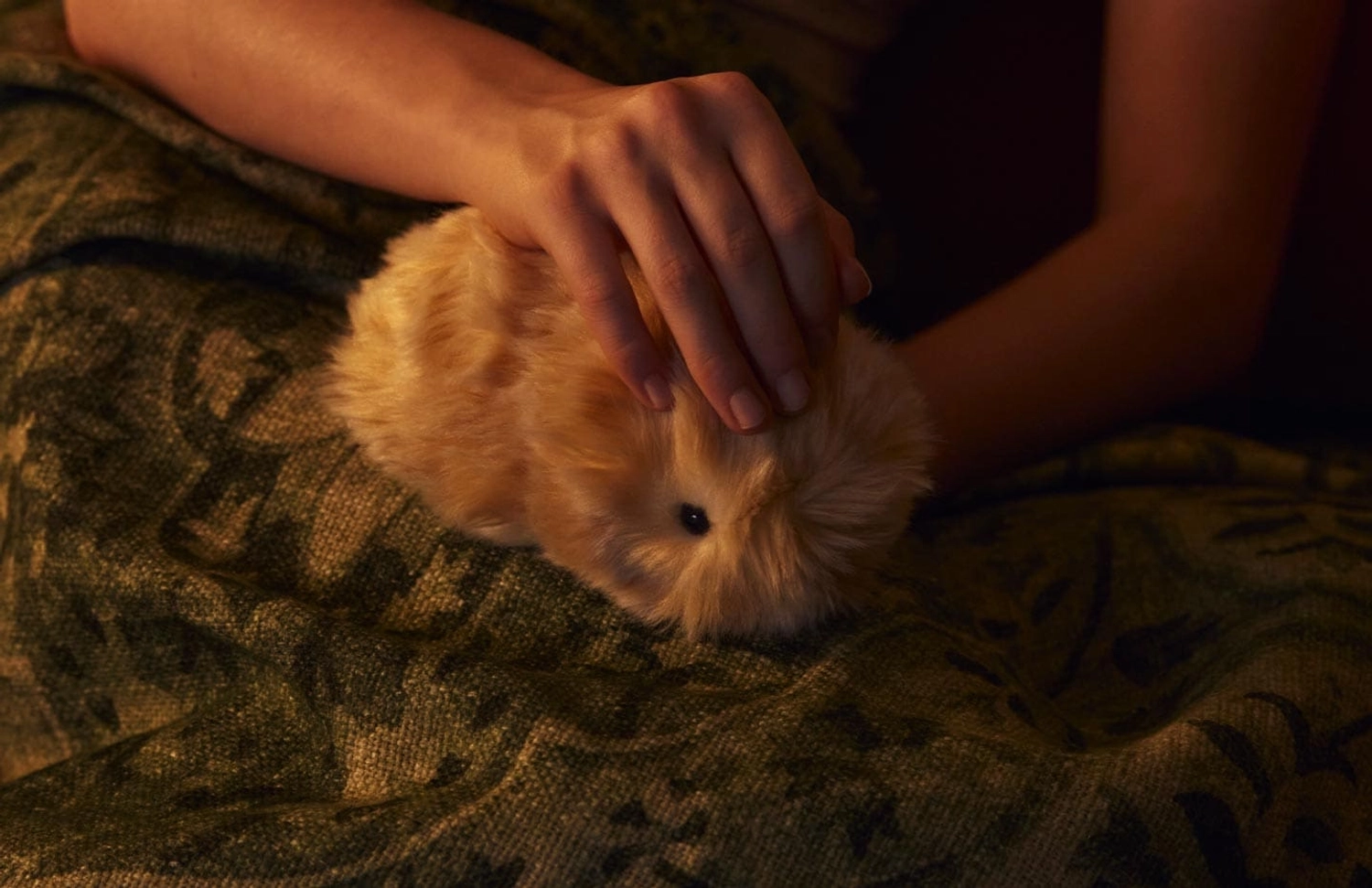 Casio - Manufacturer of innovative robot models