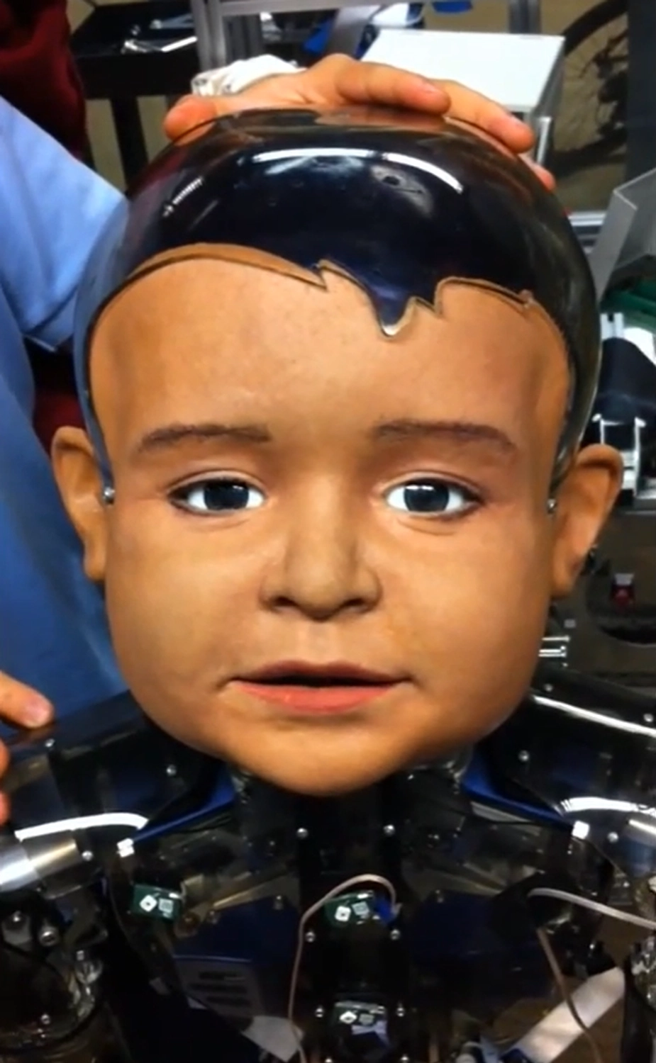 Diego-San - Image 1
