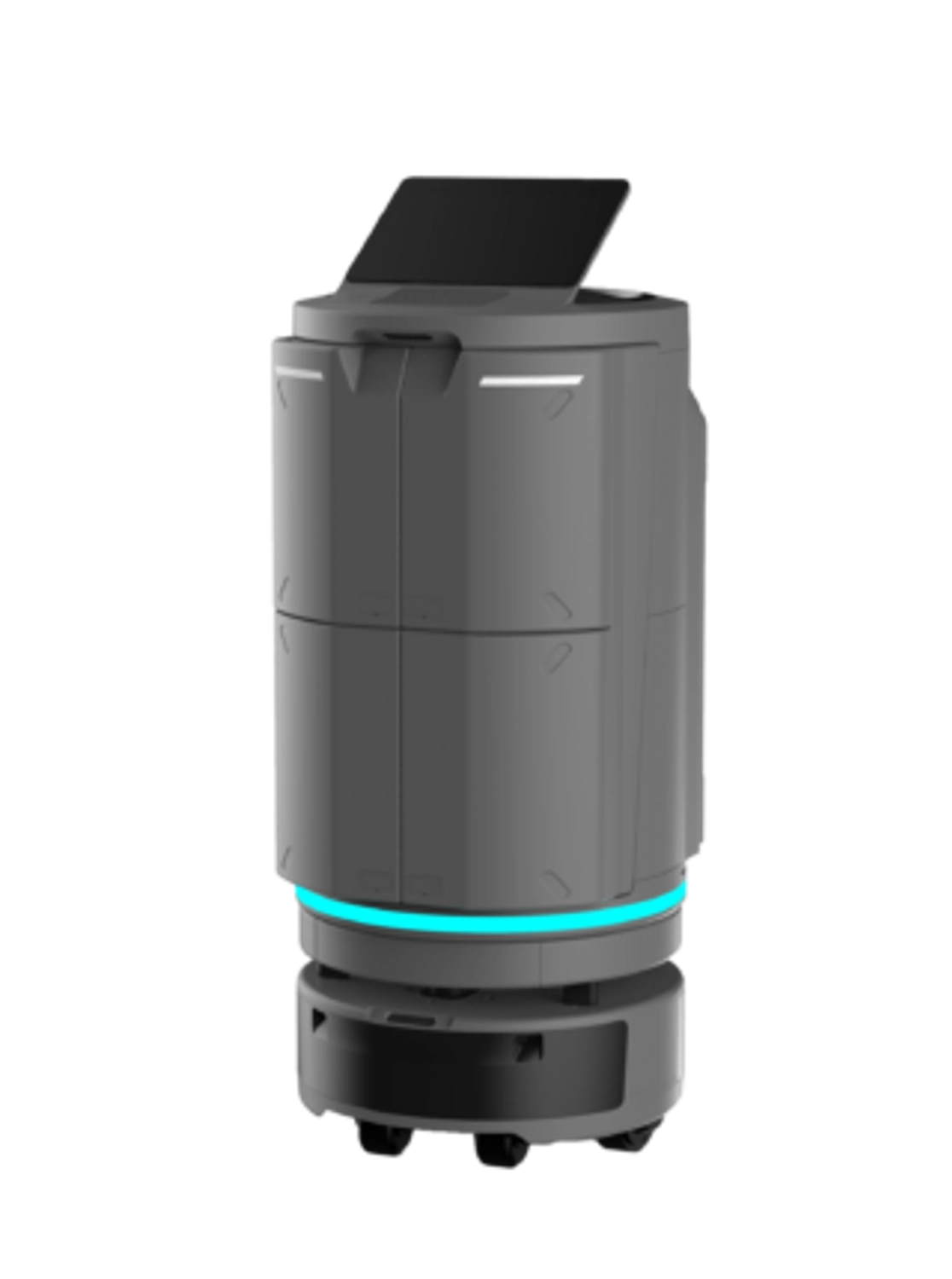 Temi Go Pro