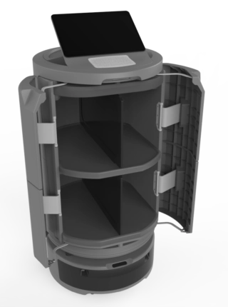Temi Go Pro - Image 2