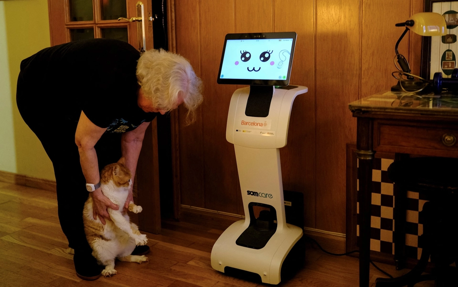 Misty Robotics - Manufacturer of innovative robot models