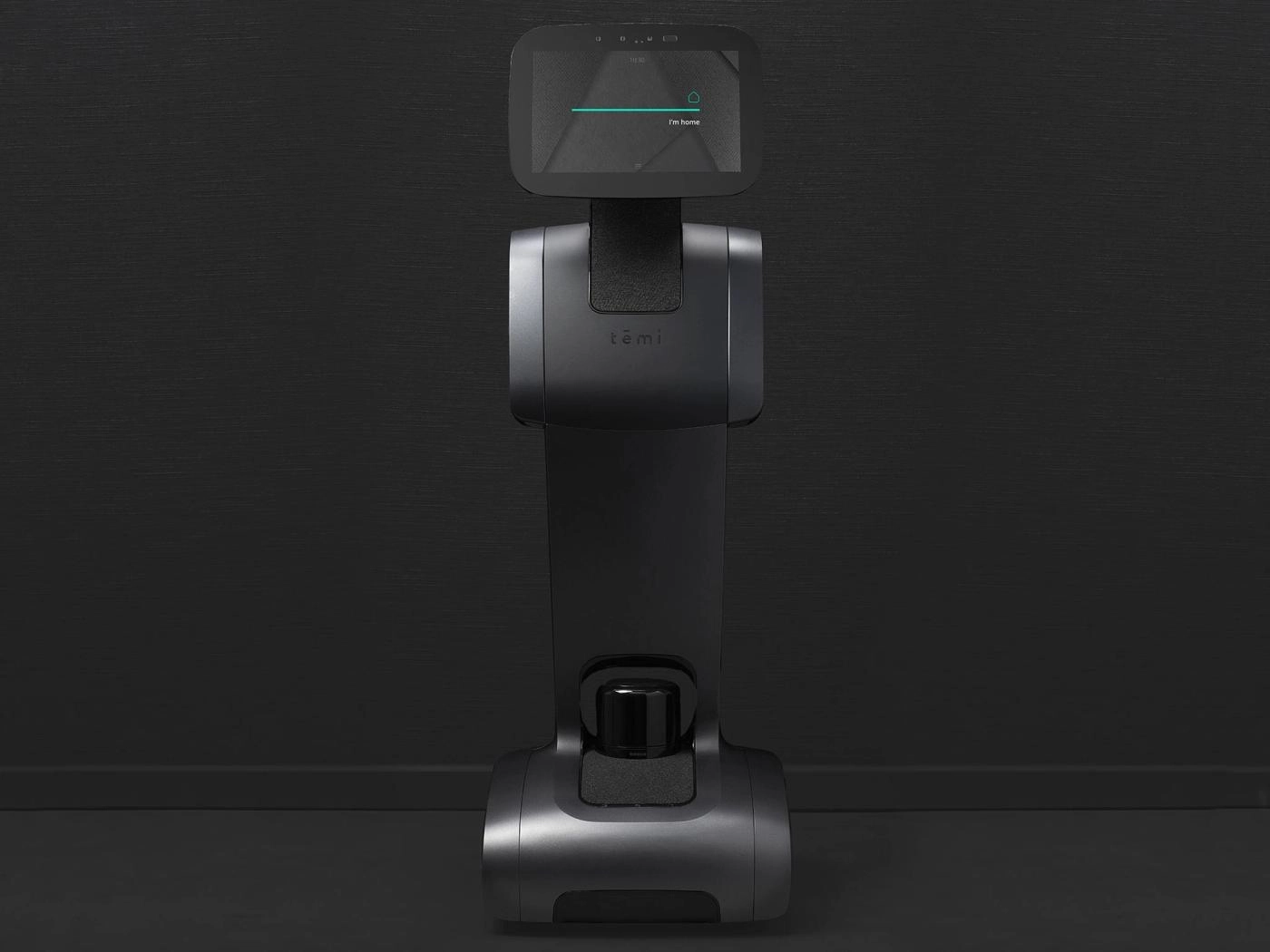 Temi 3 - Image 2